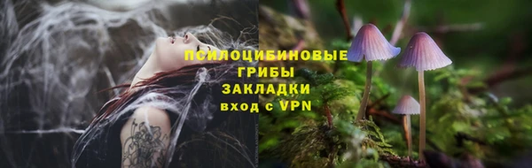 крисы Балабаново