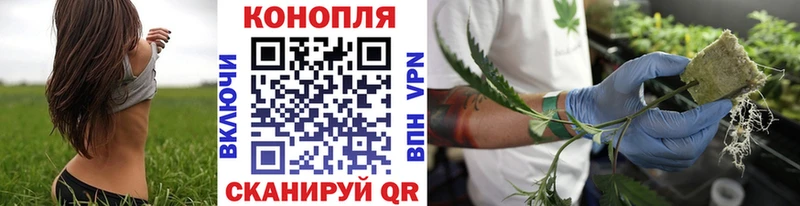 OMG вход  Спас-Клепики  Канабис MAZAR 